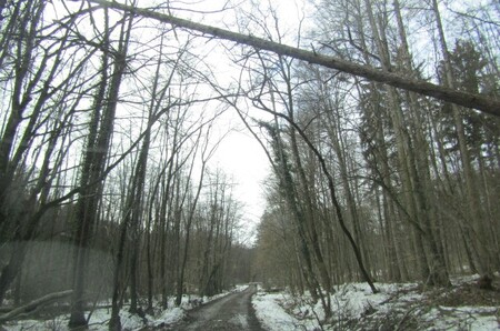 9e9d1022-0334-48a9-8cd2-460b3411f8af