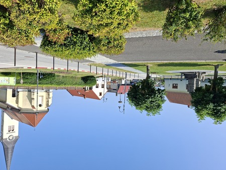 lipova vejica prizanje